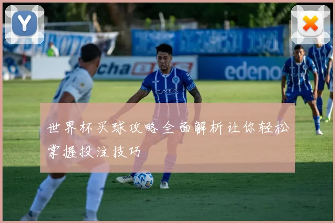 世界杯买球攻略全面解析让你轻松掌握投注技巧