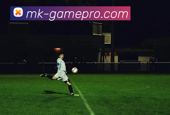 MK体育平台展示图